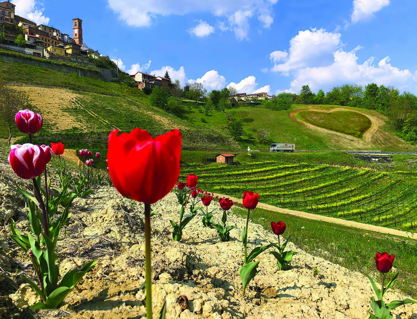 I Tuoi Consigli Cantine Povero I Tuoi Consigli Cantine Povero