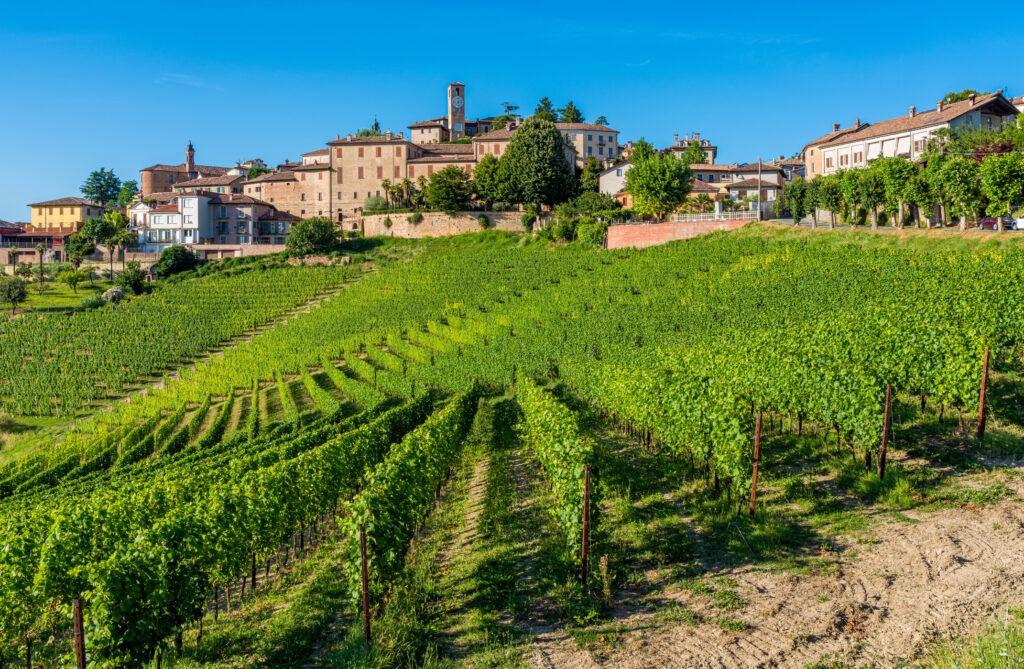Barolo o Barbaresco? Scopri differenze, territori, stili e abbinamenti per scegliere il Nebbiolo giusto al momento giusto.