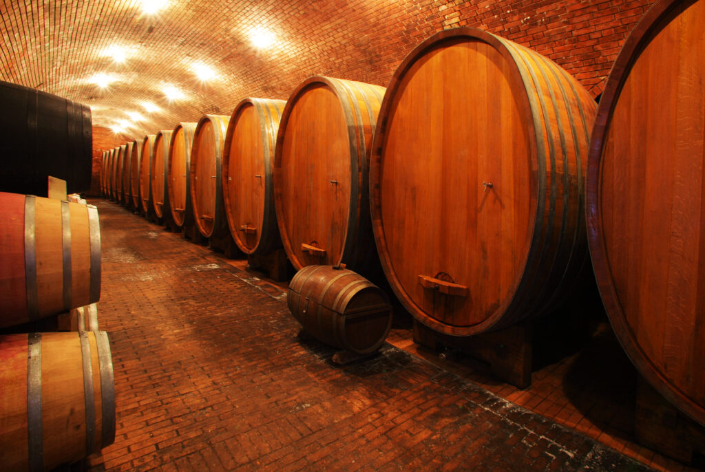 Visita in Cantina Guida Completa per unEsperienza Perfetta tra Roero e Monferrato