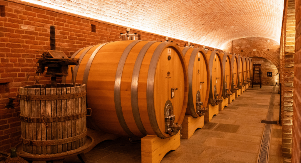 visita in cantina roero