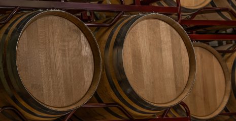Degustazione vini in Piemonte cosa rende unica una visita in cantina