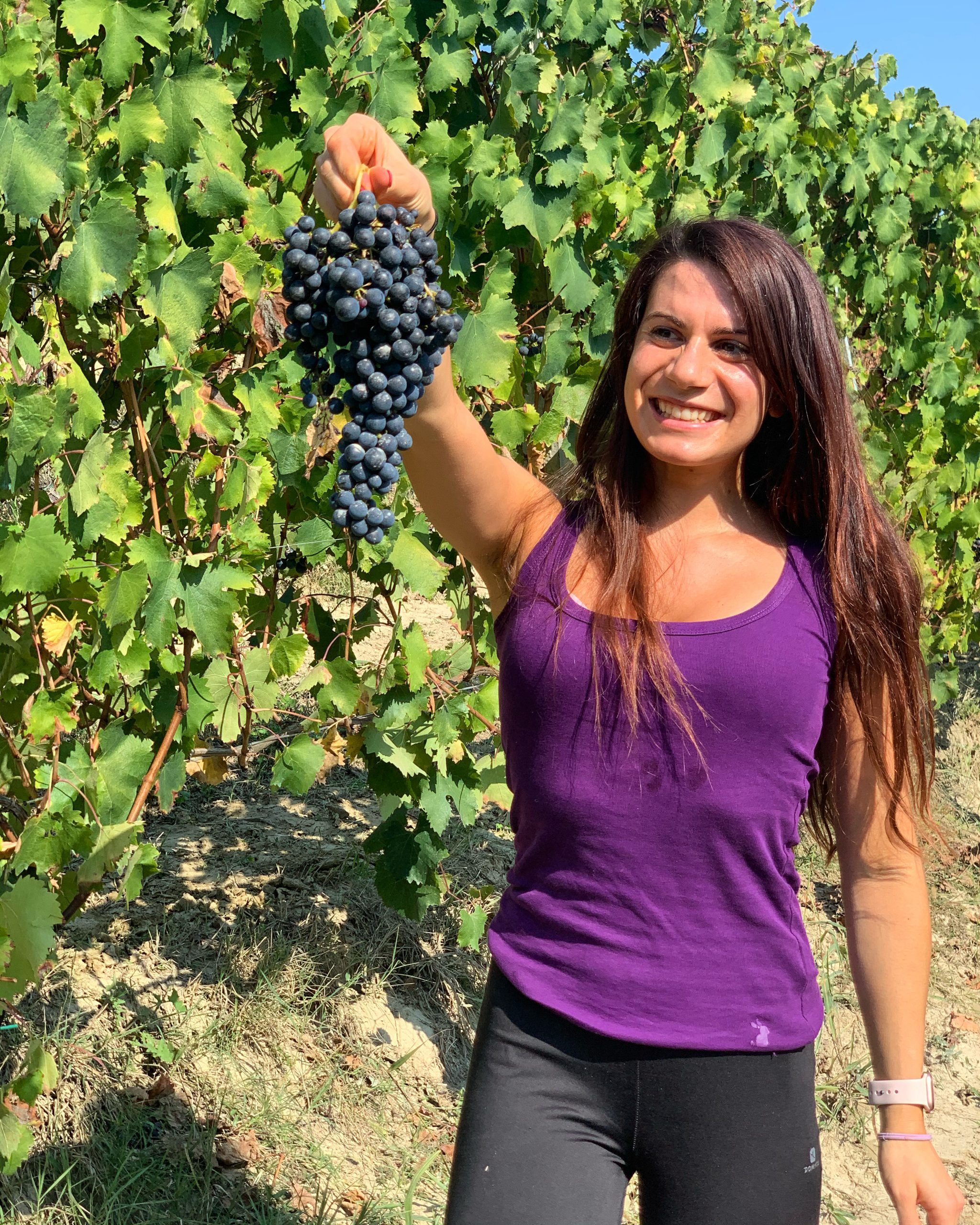 Lucrezia Povero Vendemmia Cantine Povero