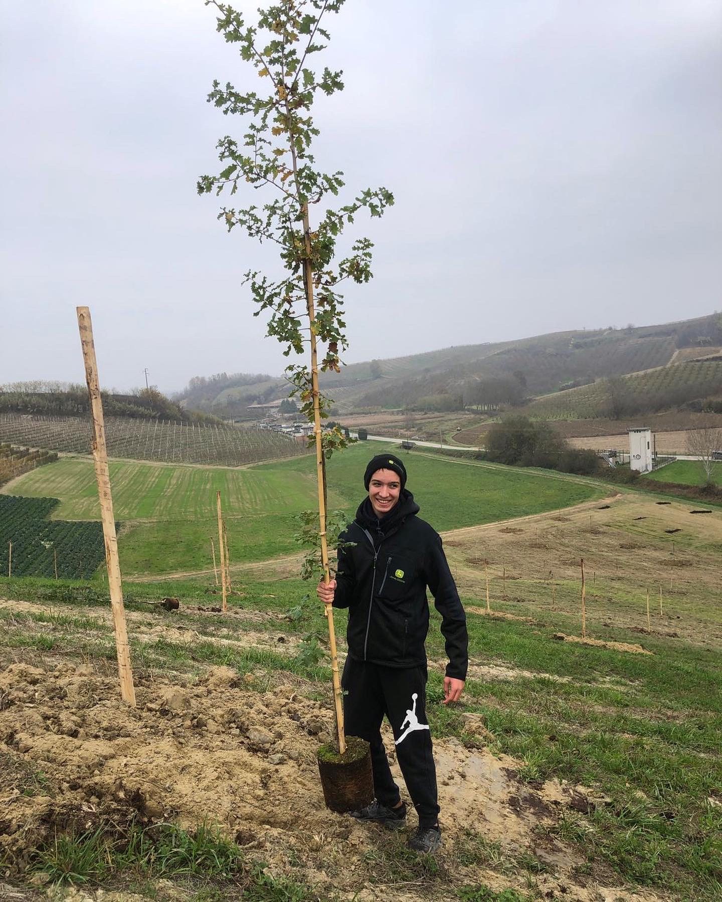 Cantine Povero Pianta Alberi