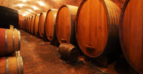 Visita in Cantina Guida Completa per unEsperienza Perfetta tra Roero e Monferrato 1